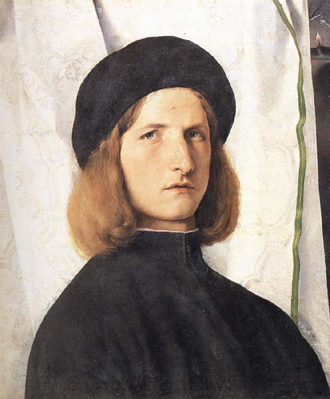 Lorenzo Lotto Portrait of a young man against a white curtain Germany oil painting art